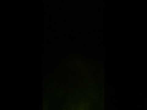 Tarantella calabrese