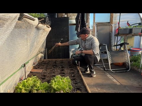 Polytunnel Prep: Abundant Spring Harvests Start Now