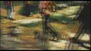 Barbed Wire and Roses