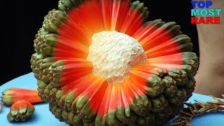 15 Odd Fruits You Didn't Know Existed