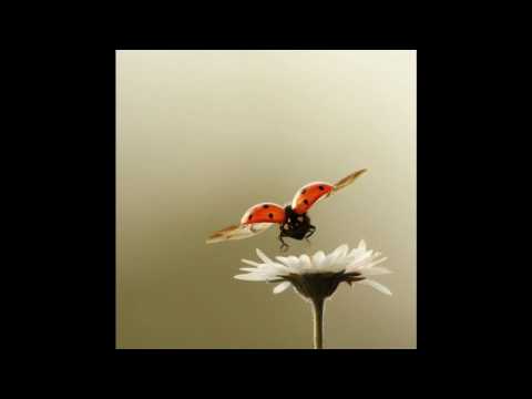 CAFE DEL MAR 30TH ANNIVERSARY (Kevin Rankin - Closer To You )