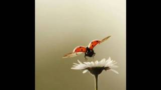 CAFE DEL MAR 30TH ANNIVERSARY (Kevin Rankin - Closer To You )