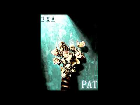 eme x adi producent - pat