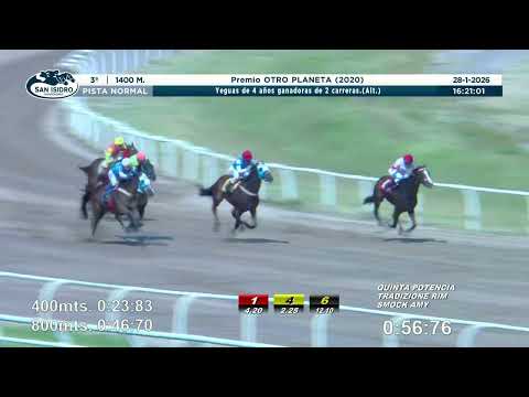 HARLAN'S RIM - San Isidro - 28/1/2026