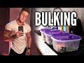 My BULKING Diet for 240lbs FULL DAY OF EATING w/ Brandon Harding