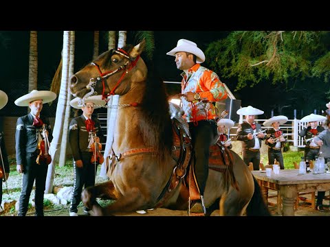 Banda La Maravillosa, Beto Pena, Banda Llano Grande- El Favorito & Arriba El Roble