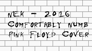 NEK 2016 - Pink Floyd - Comfortably Numb Cover