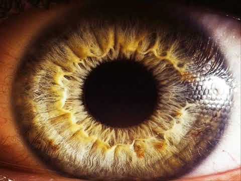 Last Night   Benjamin Fröhlich