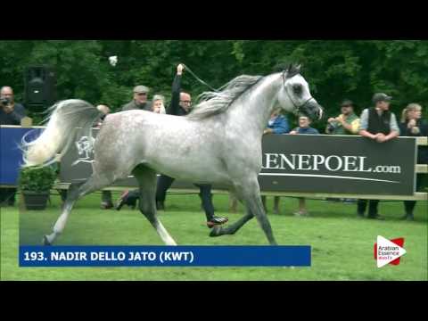 Bruges 2016 - Class 108