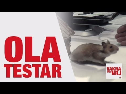 Ola Lustig testar Groundhog day - VAKNA MED NRJ