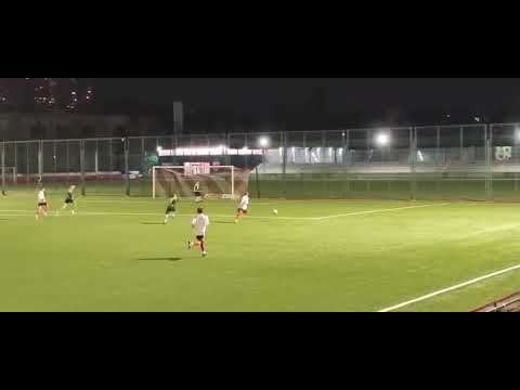 Minijatura videozapisa