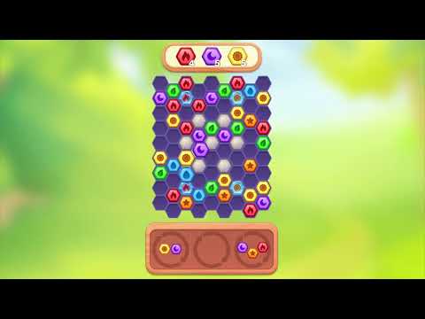 Hexa Puzzle Game
