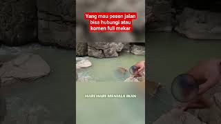 Download lagu #jalaikan #mancing #disungai #ngecrik #mancingmania #ngejalaikan #menjaring #sungaiarusderas #mangut mp3
