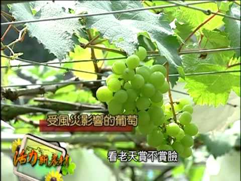 活力新農村-第010集 水里上安，平平安安