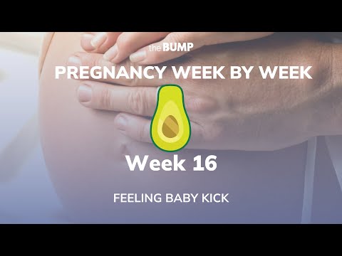 This week in Babyland (Week 16)