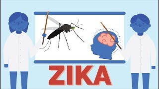 Zika virus: Tracing the origins of the epidemic