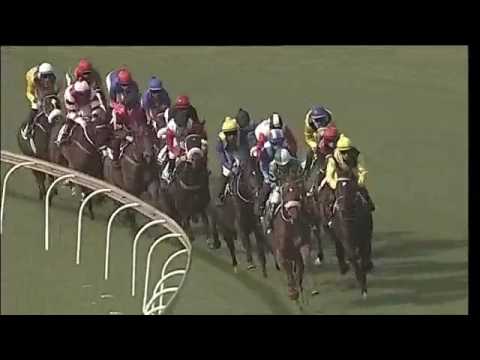 2017.03.04 Gauteng Fillies Guineas - Smiling Blue Eyes