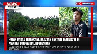 Ratusan Hektare Mangrove di Inhil Diduga Berubah Jadi Kebun Sawit, Warga Protes