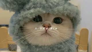 Download lagu aku masih cinta - Papinka ( speed up )   reverb ❤️ mp3