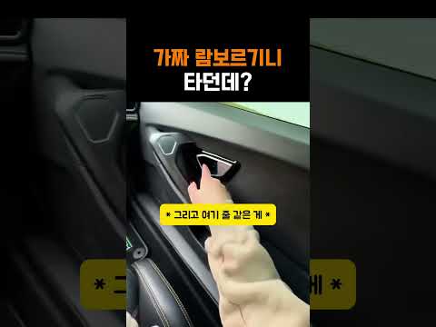 가짜 람보르기니 타던데?