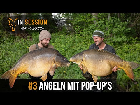 ***Karpfenangeln TV*** In Session mit Hambsch #3 Angeln mit Pop-Up's