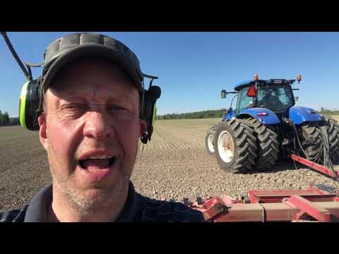 Videodagbok från havreåkern - del 4