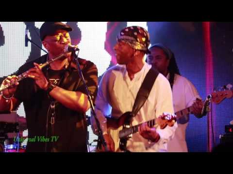 Jungle Boogle  - The Brit Funk Association (Under The Bridge, London 17-02-17)