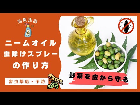 ニームオイルについて詳しく解説