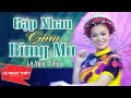 Gặp Nhau Giữa Rừng Mơ Lê Ngọc Thuý Sáng Tác Bảo Chung Nhạc Tây Bắc Tuyển Chọ