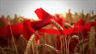 The Jasmine Minks-Poppy White