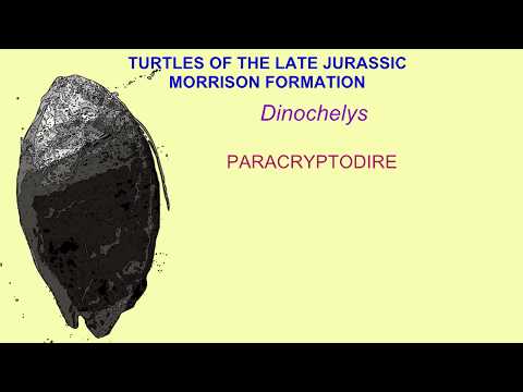 aquatic reptiles of the Late Jurassic Morrison Formation