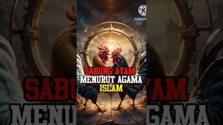 Download lagu Sabung Ayam menurut Islam ||#shortytb #videshort #sabungayam #judi #ayam #kisahislam #perjudian mp3 Download lagu Sabung Ayam menurut Islam ||#shortytb #videshort #sabungayam #judi #ayam #kisahislam #perjudian mp3