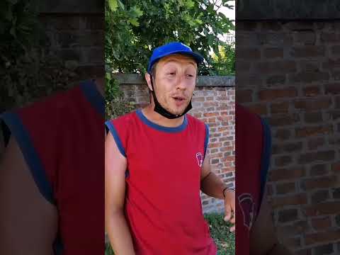 Bonso the Kobra - sponge cake and sambuca