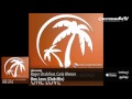 Roger Shah feat Carla Werner One Love (Club Mix ...