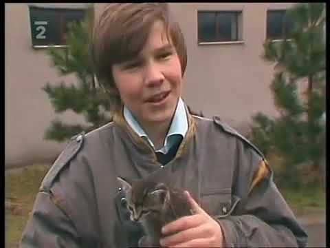 Pavel Horňák - Kotě