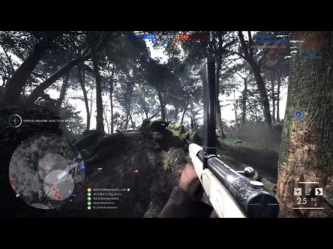 BF1:Automatico storm action / 81 kill game argonne forest (highlights) Ps5