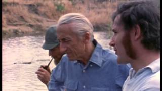 The Undersea World of Jacques Cousteau - Hippo
