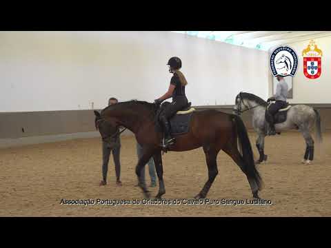 230417 4 Proj Ensino APSL&FEP - Leonor Mota Pereira com Oghiro das Lezirias