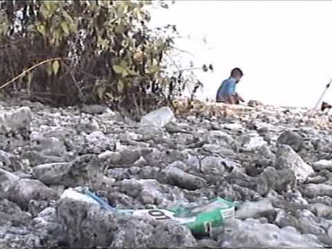 Nudhaashey Ekaniveri Koffaa...