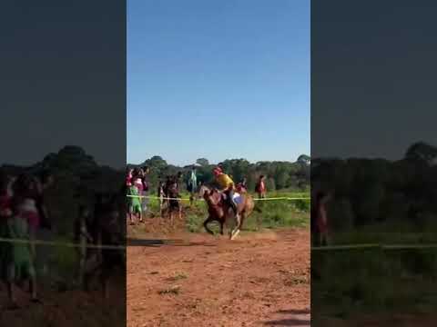 carreras de caballos en filadelfia.# pando