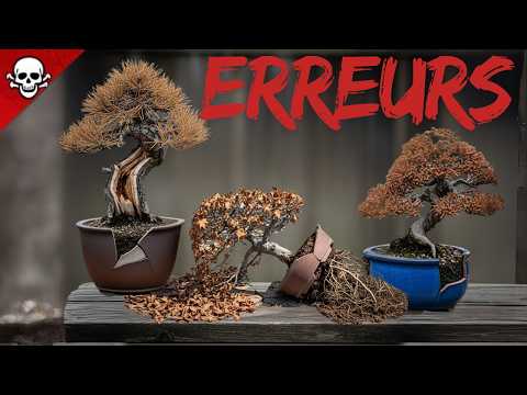 My 9 ERRORS (FATAL) in BONSAÏ in 2022