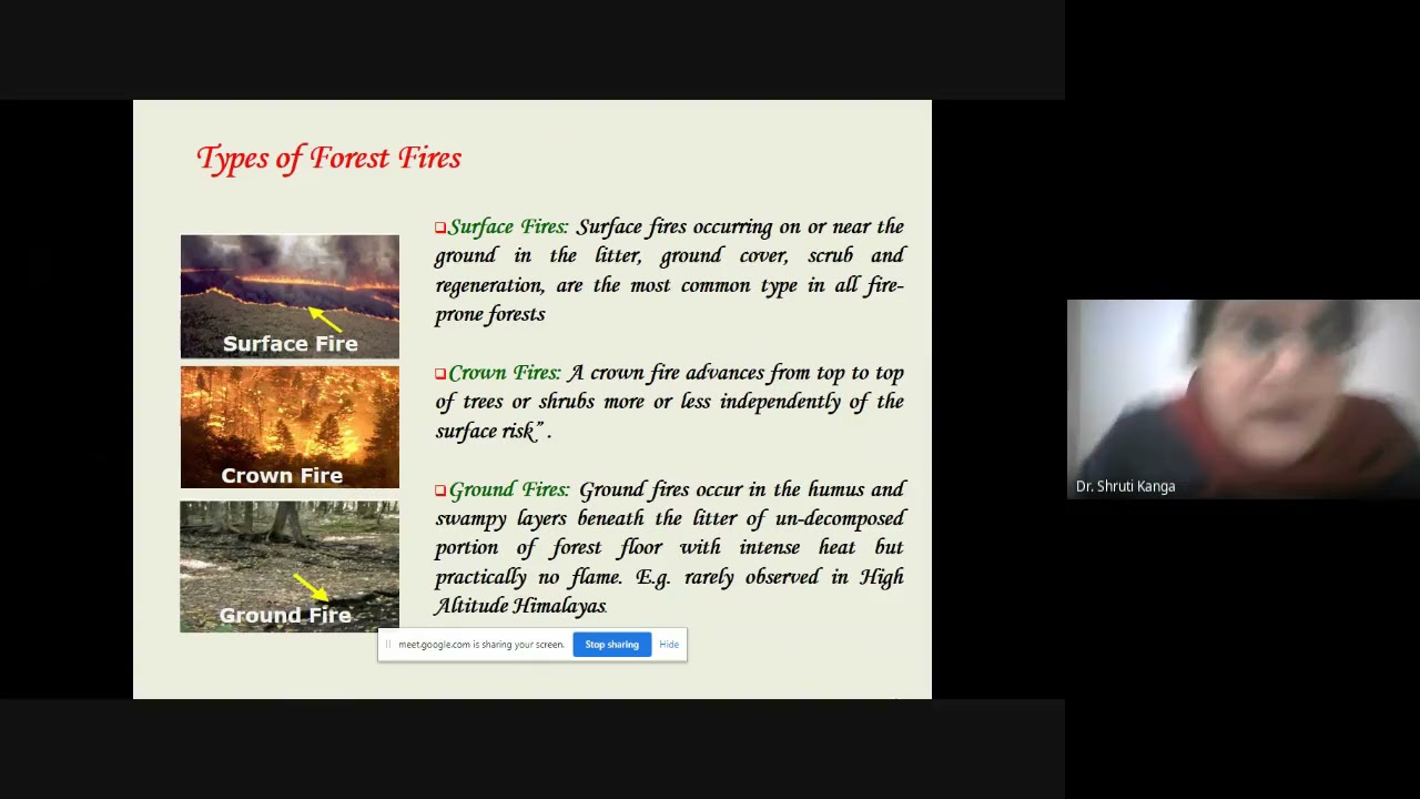 Susceptibility and risk modeling of forest fire using Geoinformatics