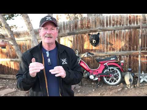 Beer / Soda can Pop Top Pull Tab History with the Dogs