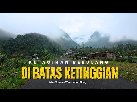 HEIGHT LIMITED! The Extreme Wonosobo-Dieng Bypass Road | Central Java