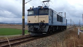 列車番号????　快速EL村上ひな街道号#5　(EF64-1051：単機)　羽越本線　60P　19/03/23