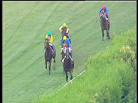 Galoppo 28/06/2017 - 1ª corsa