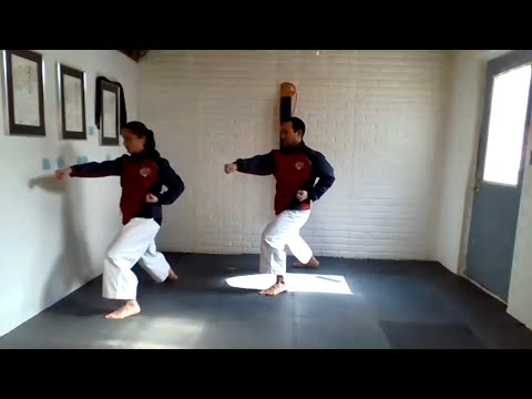 Karate Workout: stances and virtual partner drills