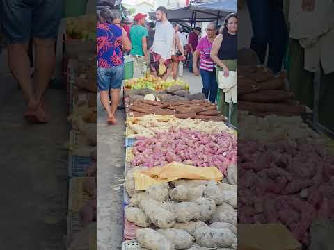 Feira Livre de Taquarana aos sábados. Alagoas