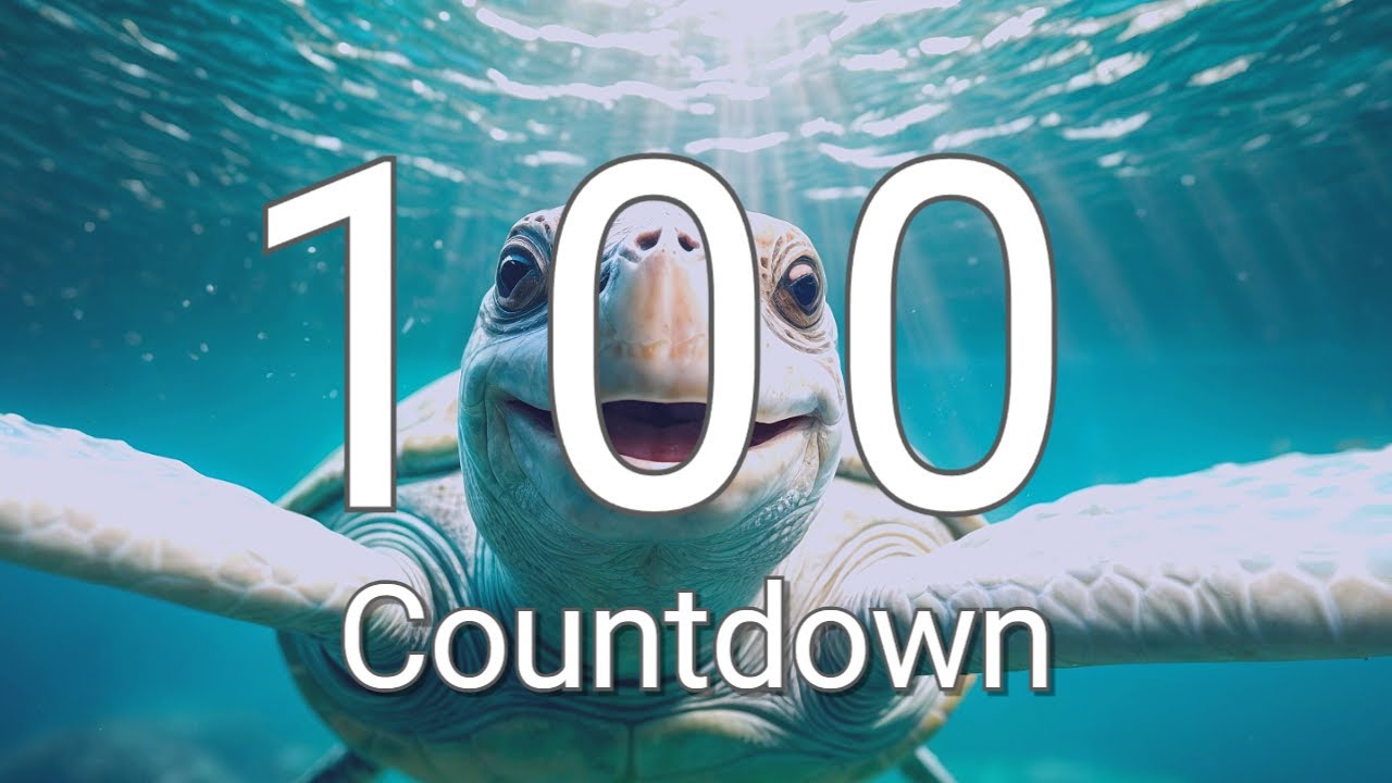 100 Seconds Timer with Relaxing Music and Alarm