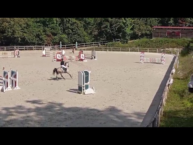 Ponette Max D 7 ans - pour AS2